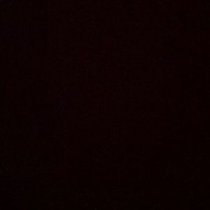 Meet your Posher, Jackson